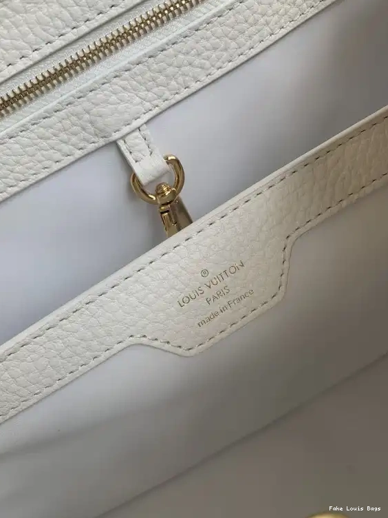 Fake Louis Bags CAPUCINES VUITTON PM LOUIS 0531